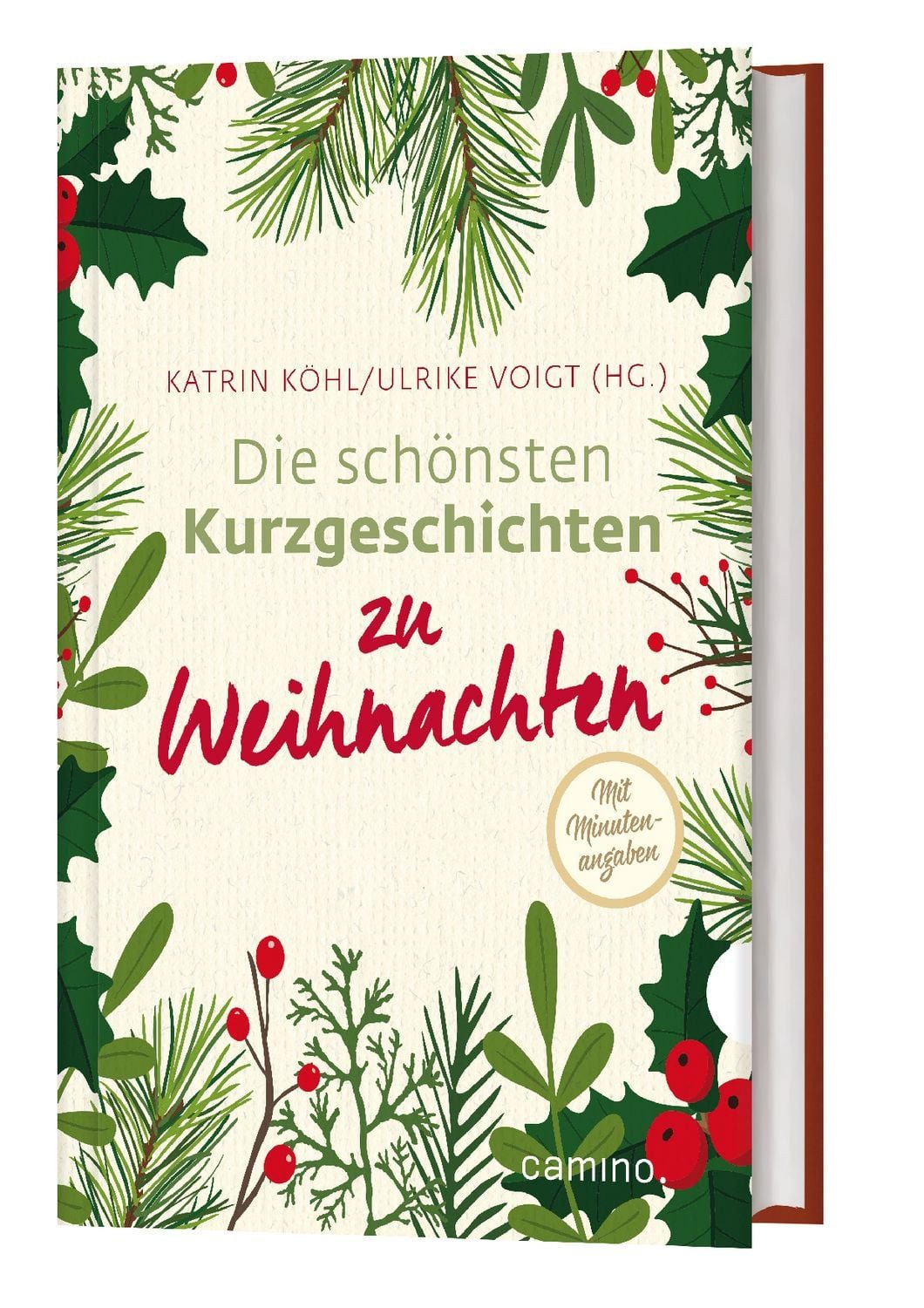 Die schönsten Kurzgeschichten zu Weihnachten / diverse