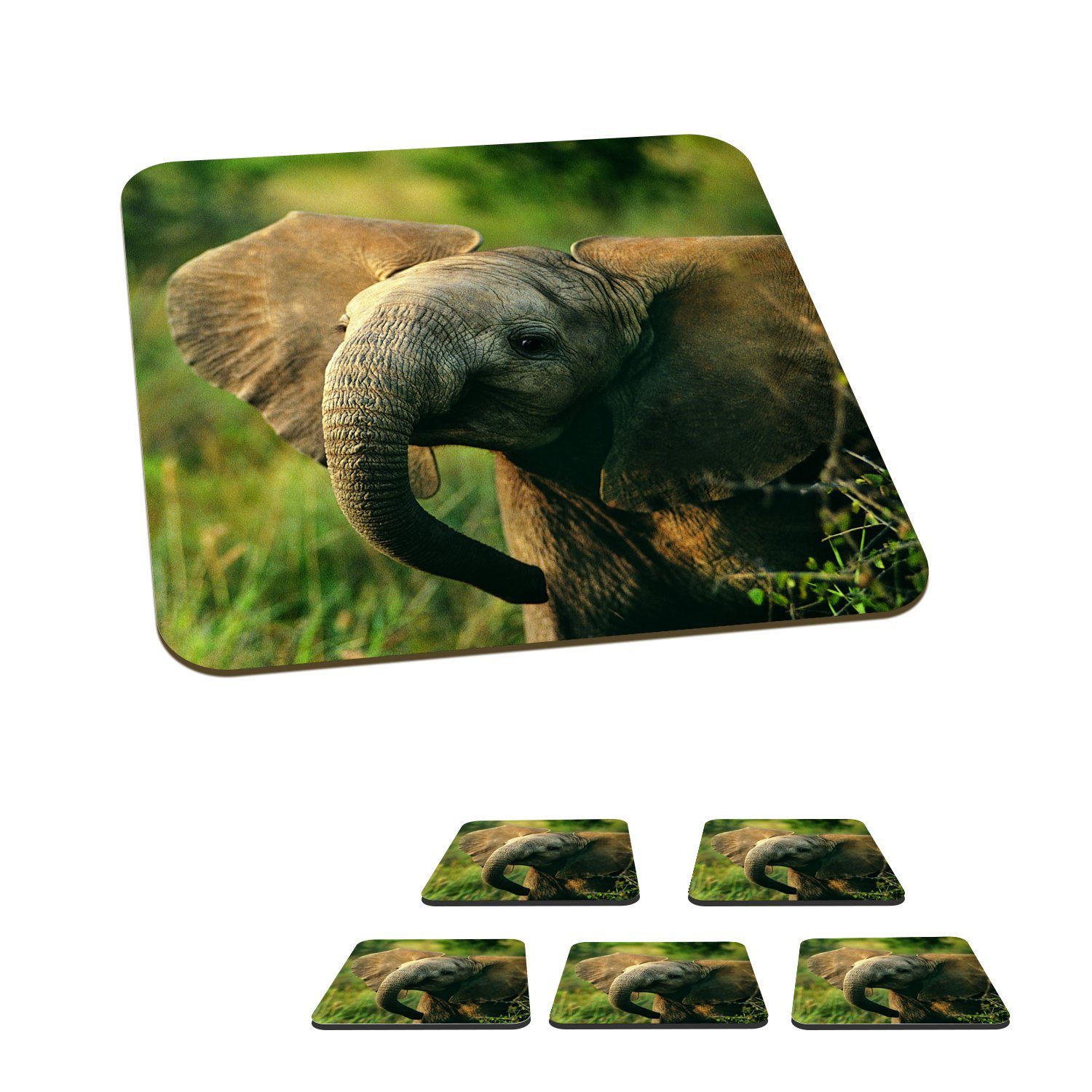 MuchoWow Glasuntersetzer Elefant - Grün - Tiere - Natur, Zubehör für Gläser, 6-tlg., Glasuntersetzer, Tischuntersetzer, Korkuntersetzer, Untersetzer, Tasse