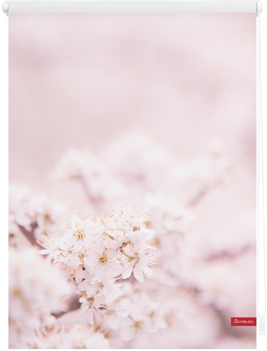Seitenzugrollo Rollo Kirschblüten ORIGINAL, Bohren, - verdunkelnd, freihängend, Verdunkelung, LICHTBLICK Klemmfix Weiß, ohne Rosa Klemmfix