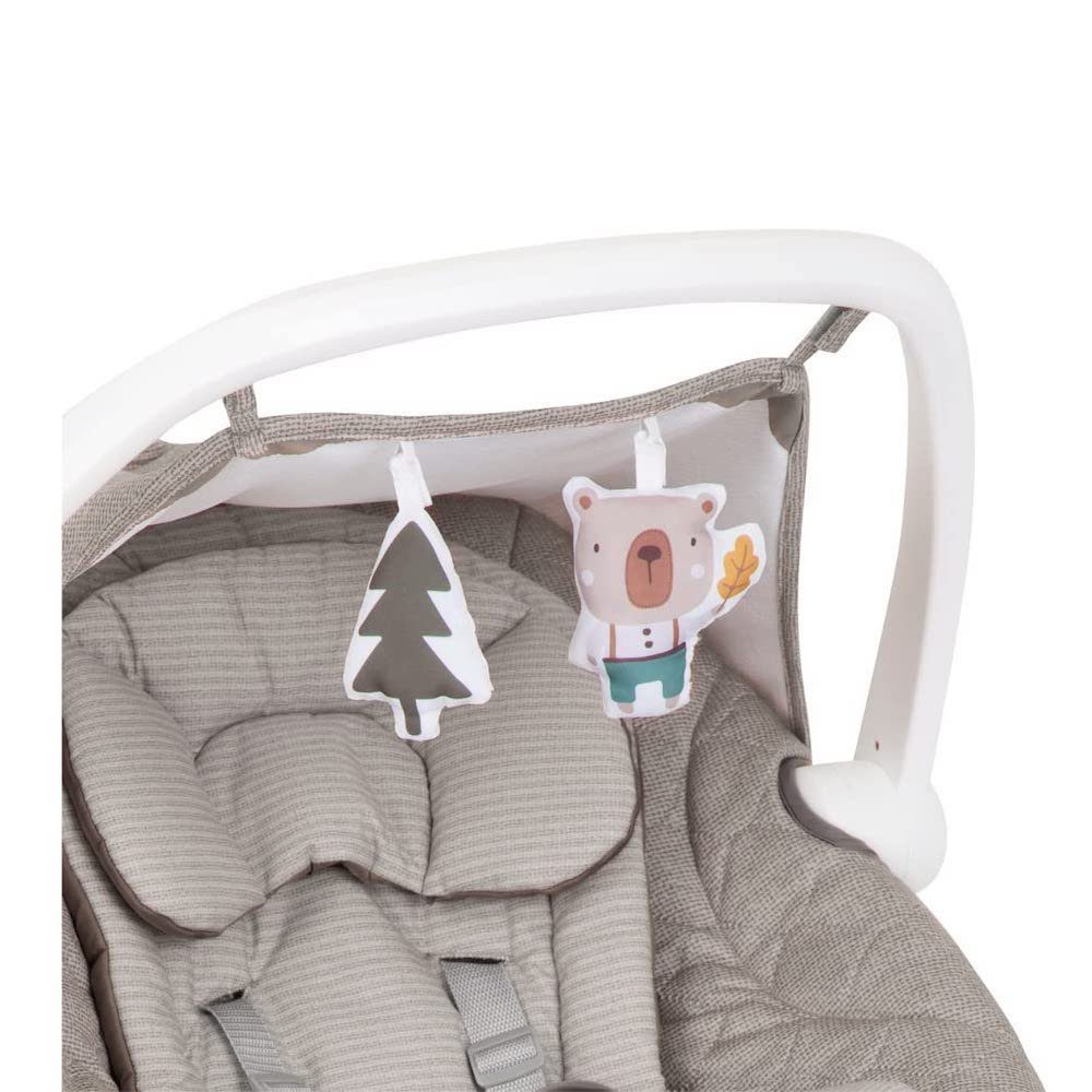 Graco Baby Bouncer