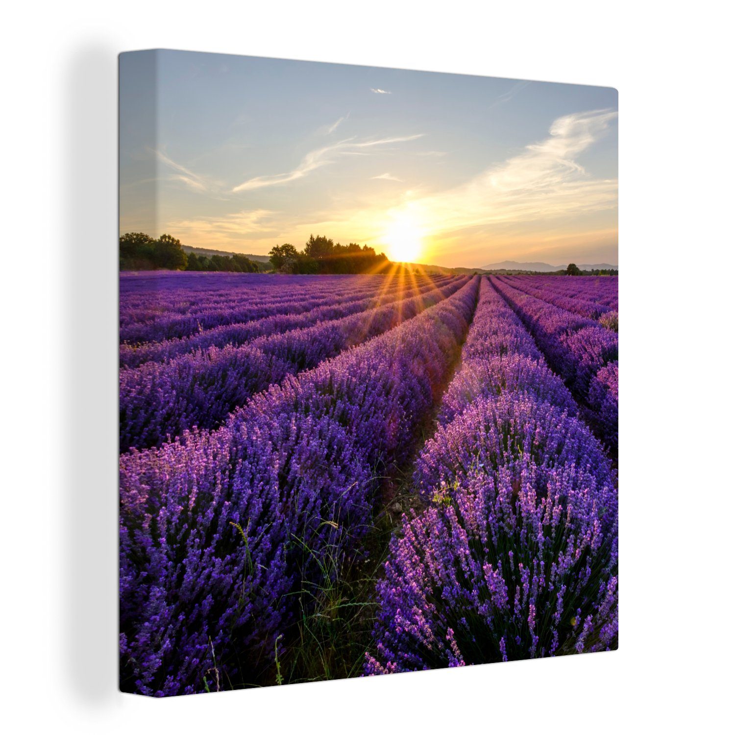 OneMillionCanvasses® Leinwandbild Lavendel - Blumen - Sonnenuntergang - Lila, (1 St), Leinwand Bilder für Wohnzimmer Schlafzimmer
