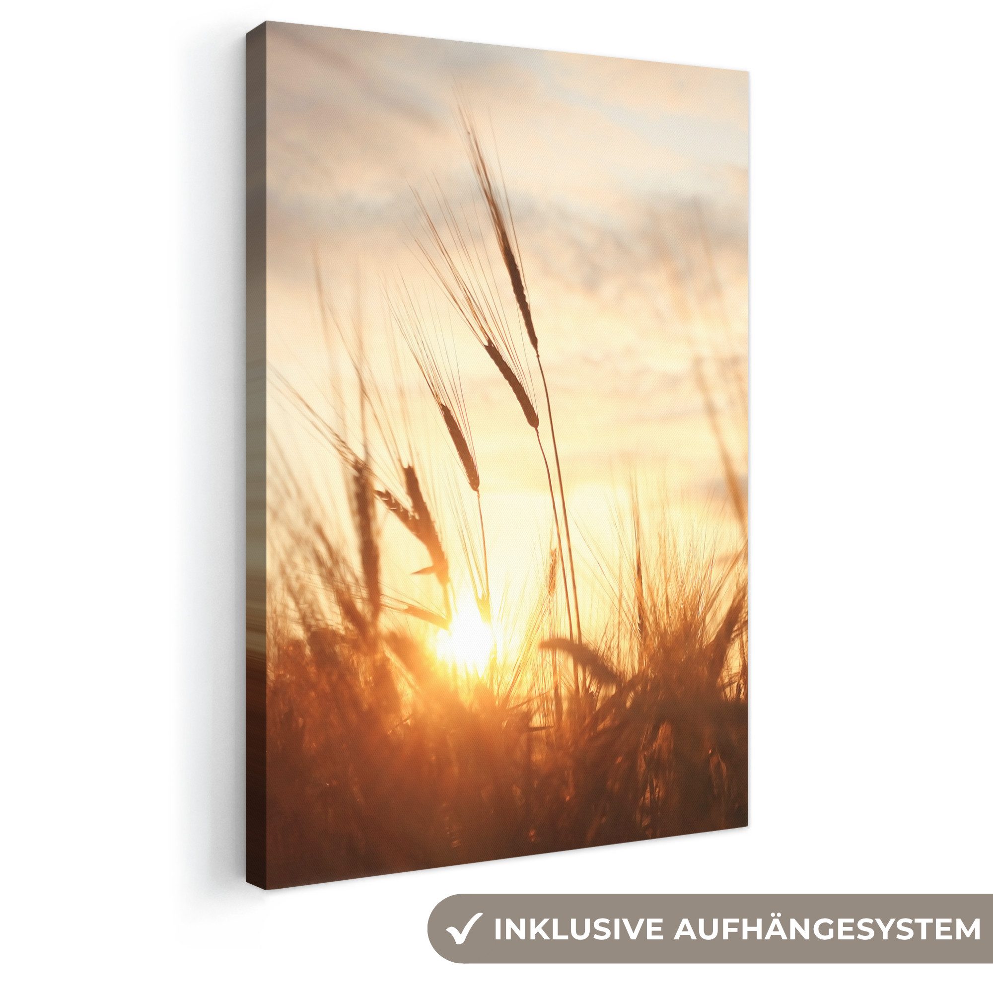 OneMillionCanvasses® Leinwandbild Schilf - Gras - Sonnenuntergang - Natur - Horizont, Fotodruck (1 St), Leinwand Canvas Wandbild, Wanddekoration 20x30 cm