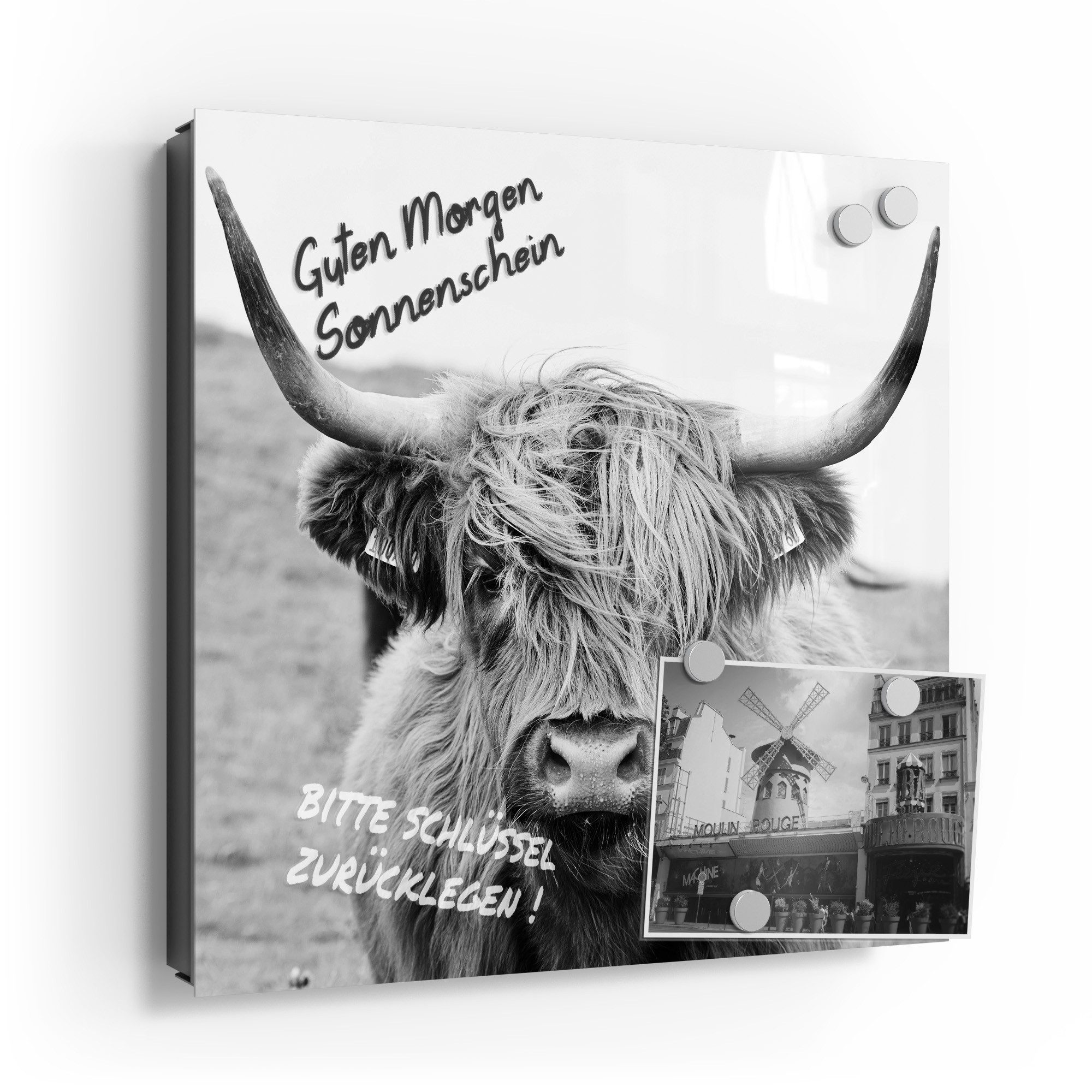 DEQORI Schlüsselkasten 'Zotteliges Hochlandrind', Glas Schlüsselbox modern günstig online kaufen