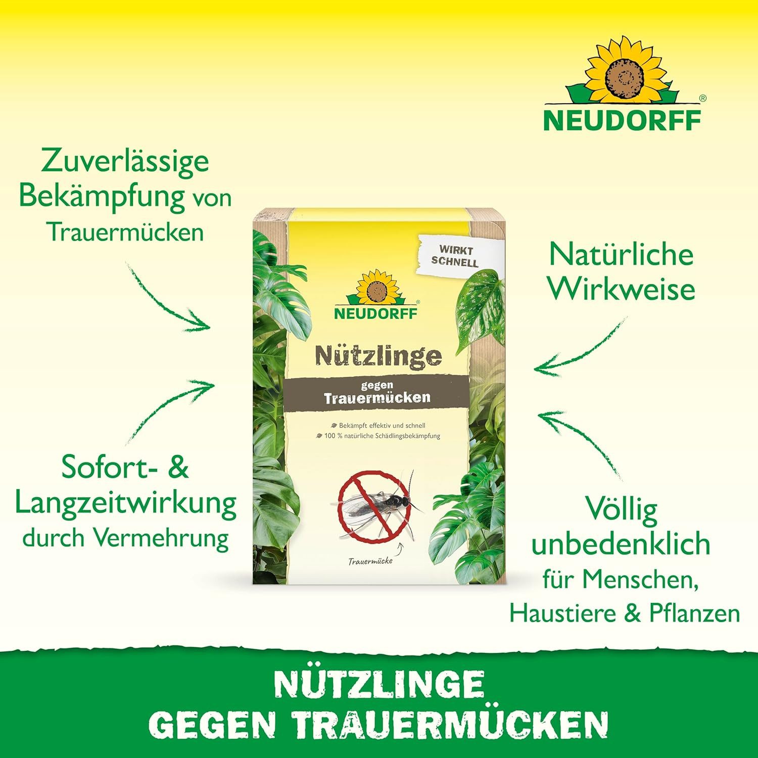 Neudorff Nematoden SF gegen Trauermücken - 5 Mio., biologische Bekämpfung von Trauermücken - für 50 Pflanzen oder 10 m²