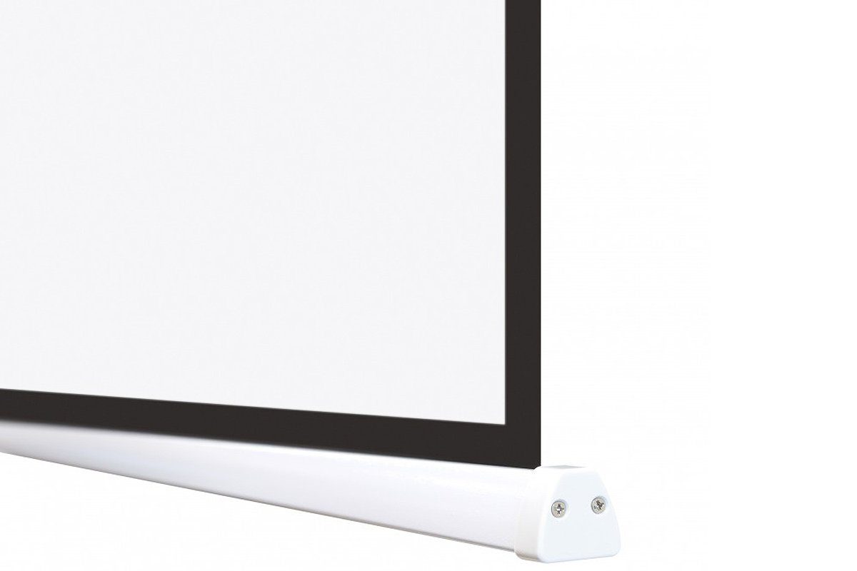 Celexon Professional Plus Motorleinwand (black_backside)