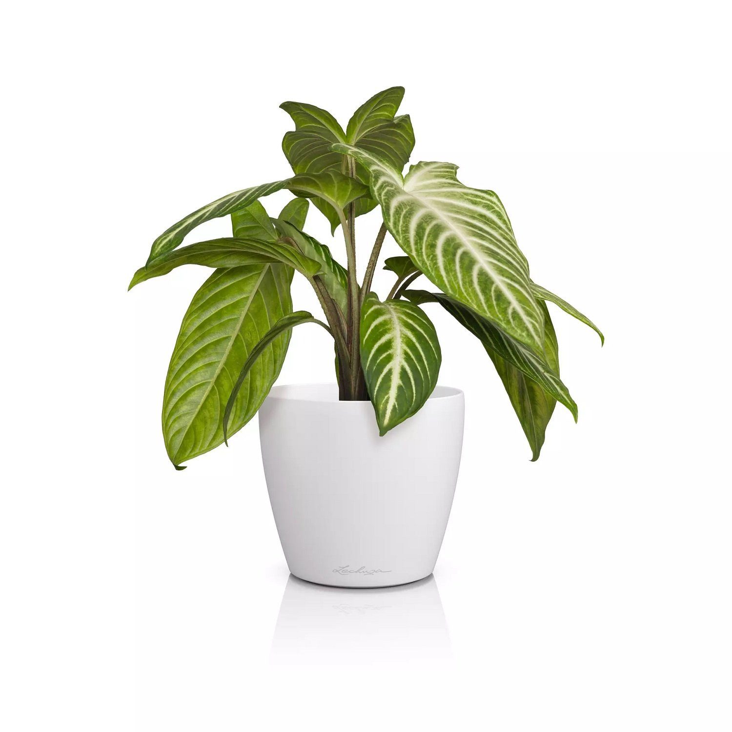 Lechuza® Übertopf Classico Color 14 DECO weiß