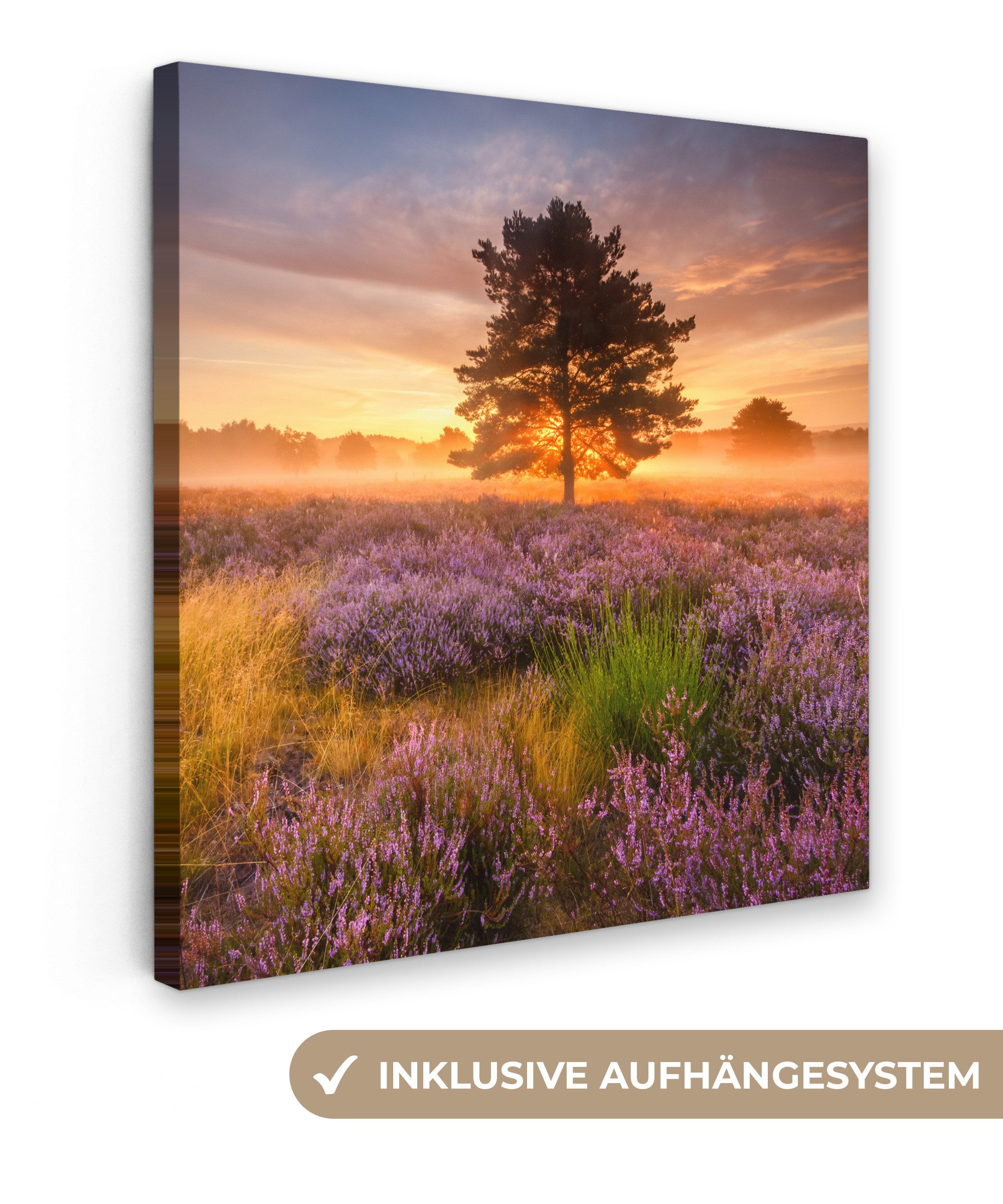 OneMillionCanvasses® Leinwandbild Heidelandschaft mit einem Baum, günstig online kaufen