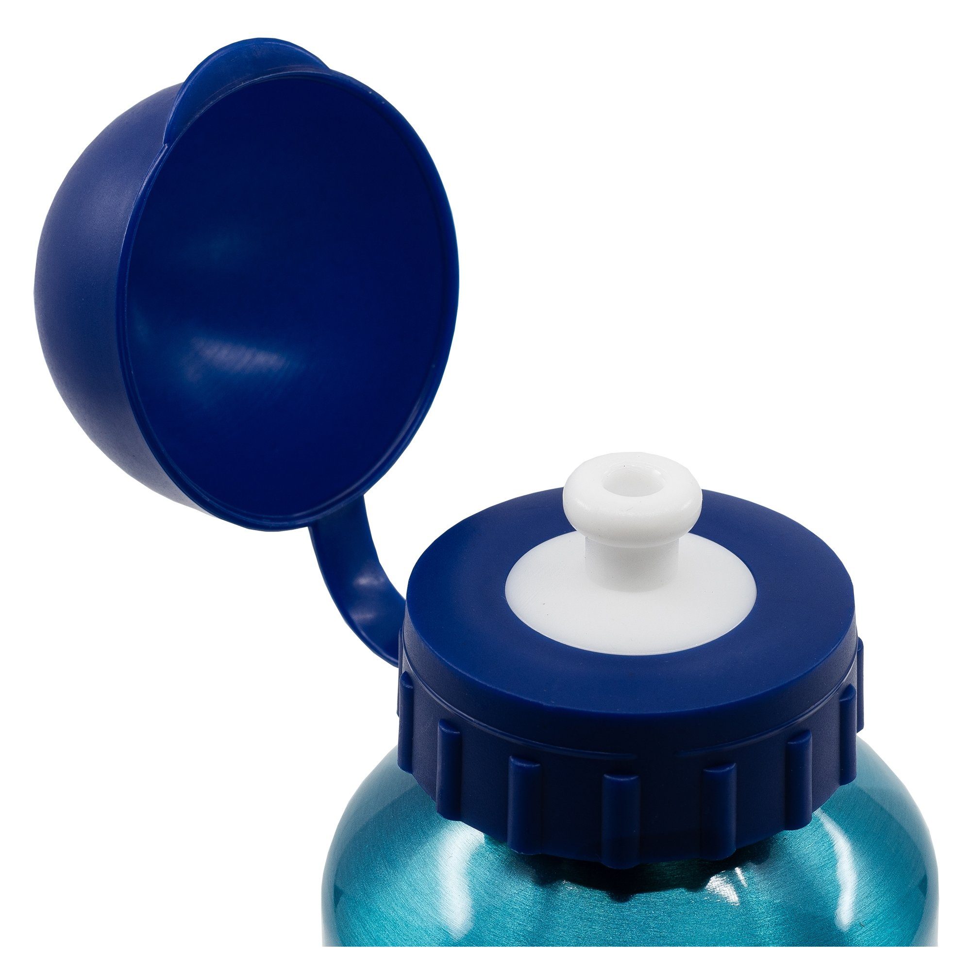 Bluey Lunchbox Disney Bluey Bingo Kinder 2 teiliges Lunch Set, Brotdose plus Aluminium Trinkflasche