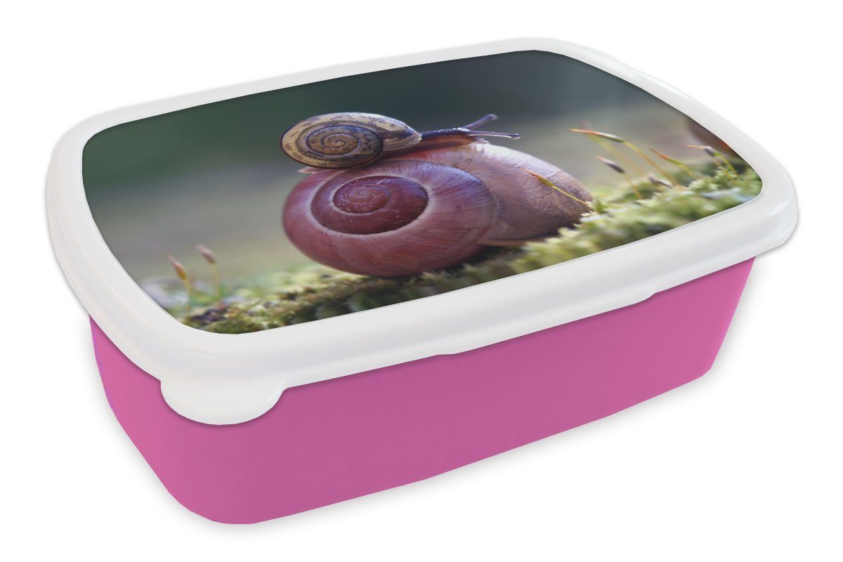 MuchoWow Lunchbox Kunststoff, - Snackbox, Frühling, (2-tlg), Erwachsene, Brotbox Brotdose Kunststoff für Kinder, Schnecken rosa Mädchen, Gras 