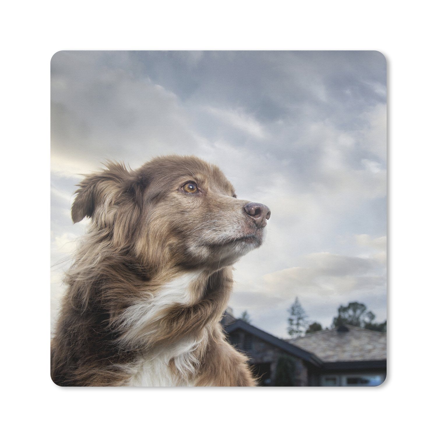 MuchoWow Gaming Mauspad Starrender Hund (1-St), Gaming, Rutschfester Unterseite, Mausunterlage, 80x80 cm, XXL, Großes