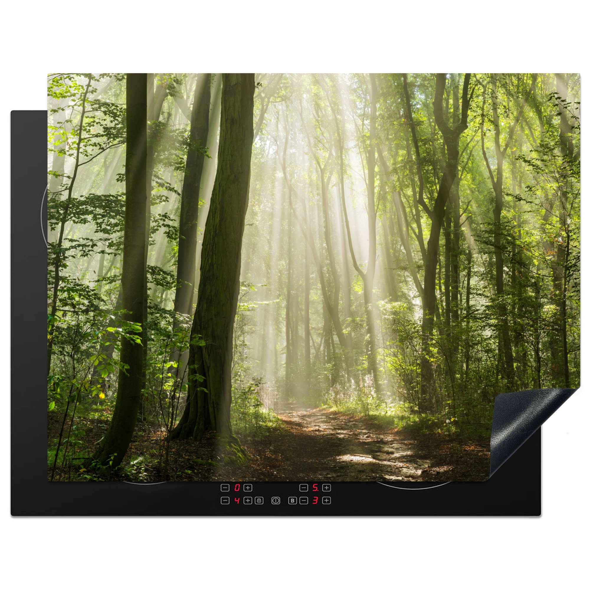 MuchoWow Herdblende-/Abdeckplatte Wald - Licht - Natur - Landschaft, Vinyl, (1 tlg), 77x59 cm, Ceranfeldabdeckung, Arbeitsplatte für küche