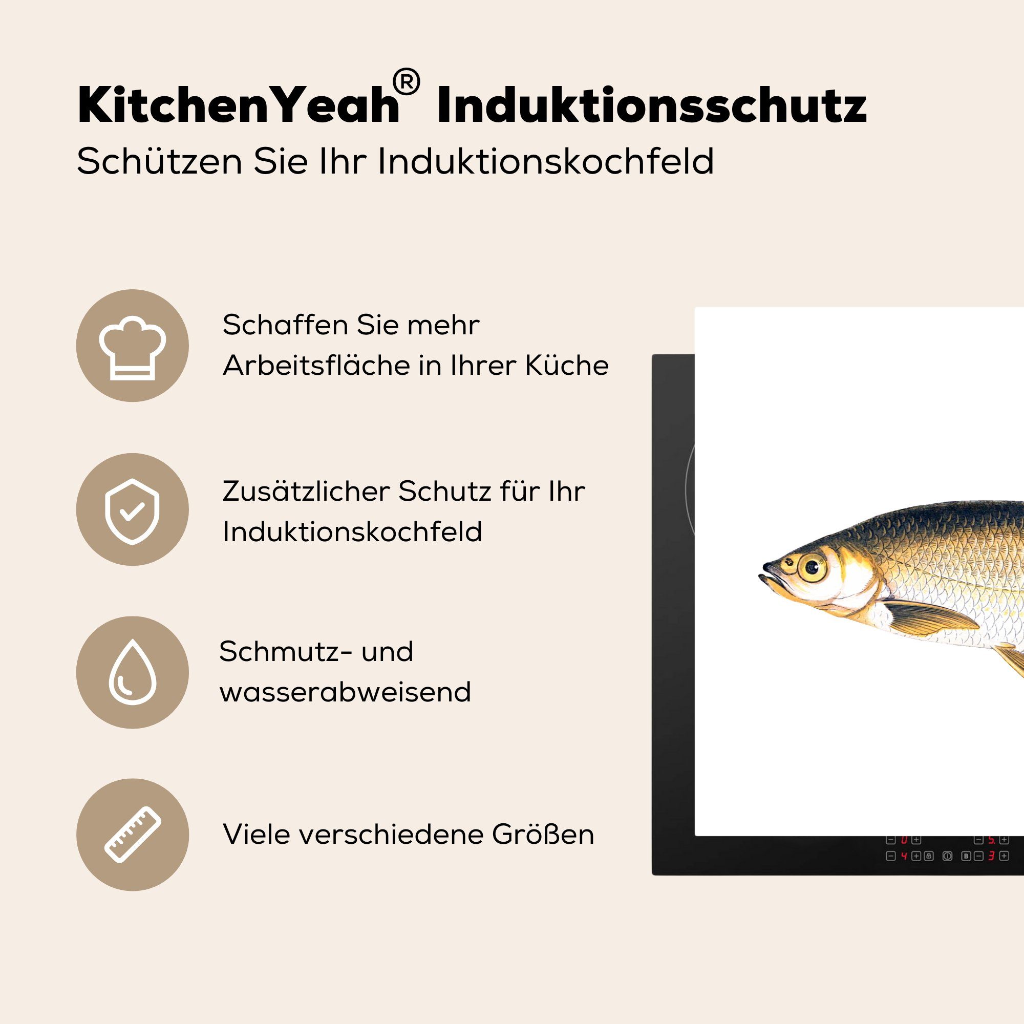 MuchoWow Herdblende-/Abdeckplatte Fische - küche, die - Ceranfeldabdeckung Vinyl, tlg), Induktionskochfeld für Schutz 81x52 cm, Plötze (1 Raue Realismus