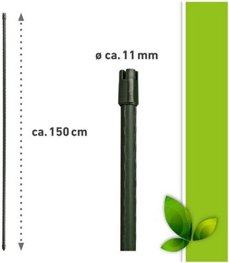 Windhager Rankhilfe Set, 10 St., Tomatenstäbe, grün, H: 150 cm