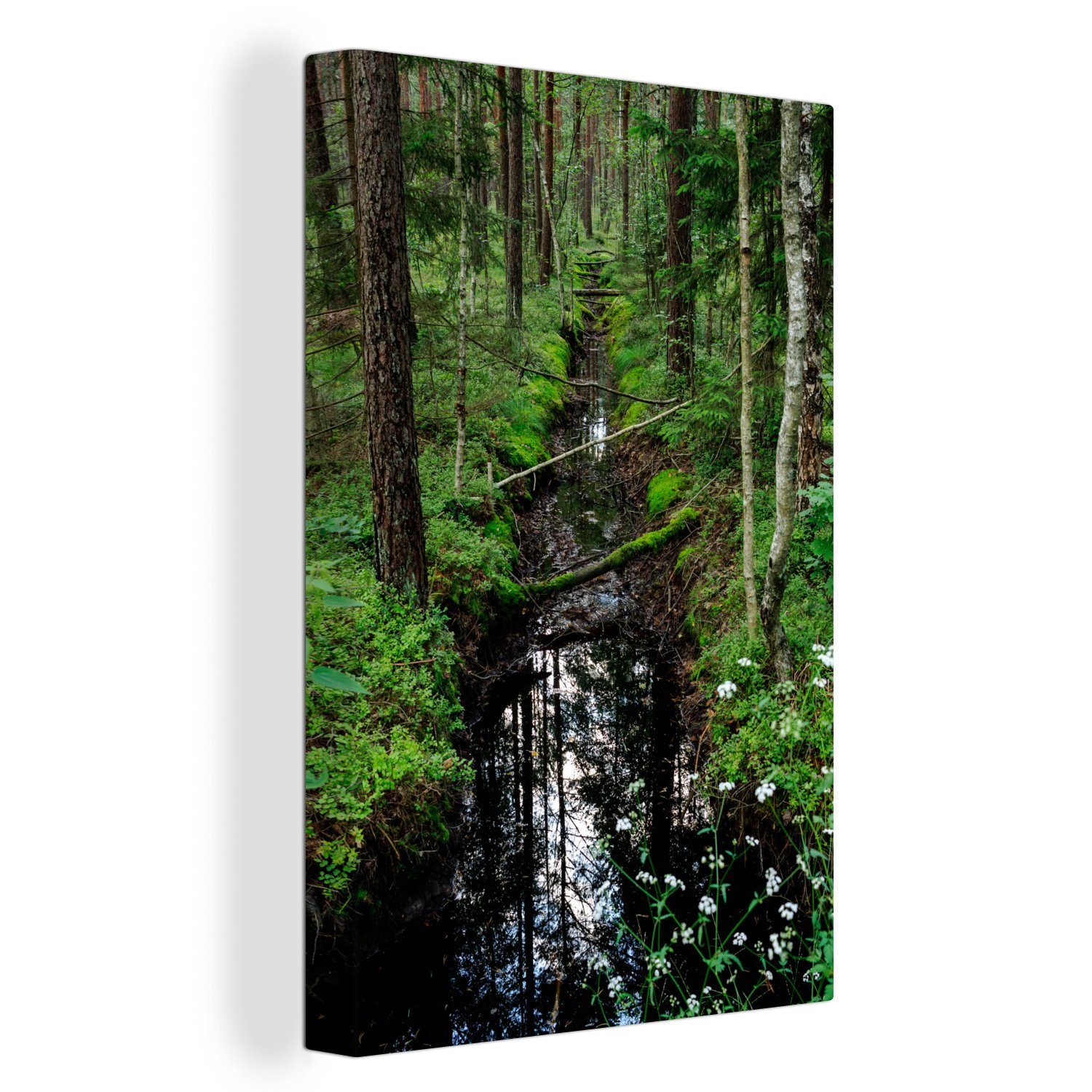 OneMillionCanvasses® Leinwandbild Zackenaufhänger, cm Waldes Bach polnischen bespannt berühmten St), im Białowieża, (1 fertig inkl. Herzen 20x30 Gemälde, Leinwandbild des