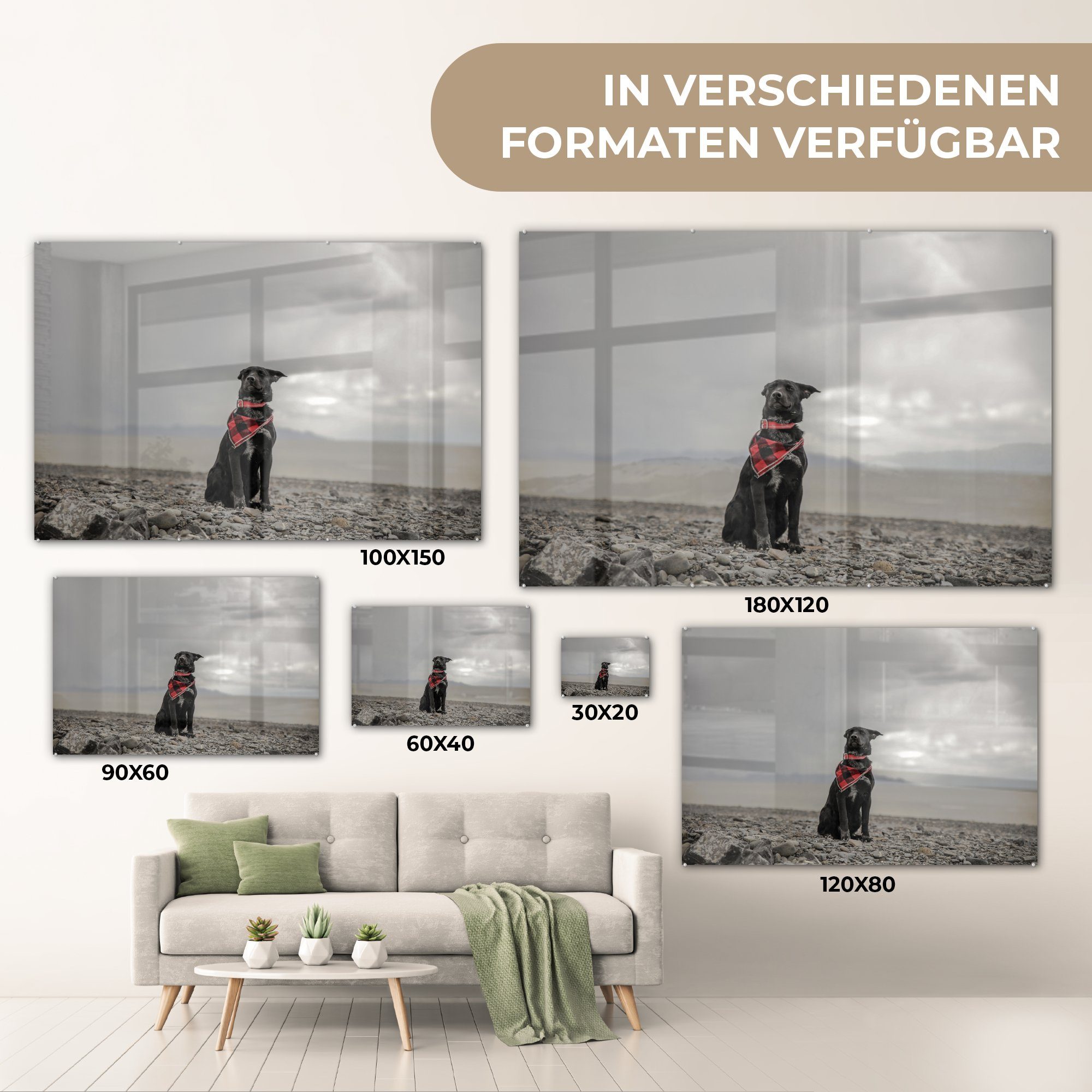 Acrylglasbilder (1 St), Acrylglasbild MuchoWow Strand Wolke, - Schlafzimmer - Hund & Wohnzimmer