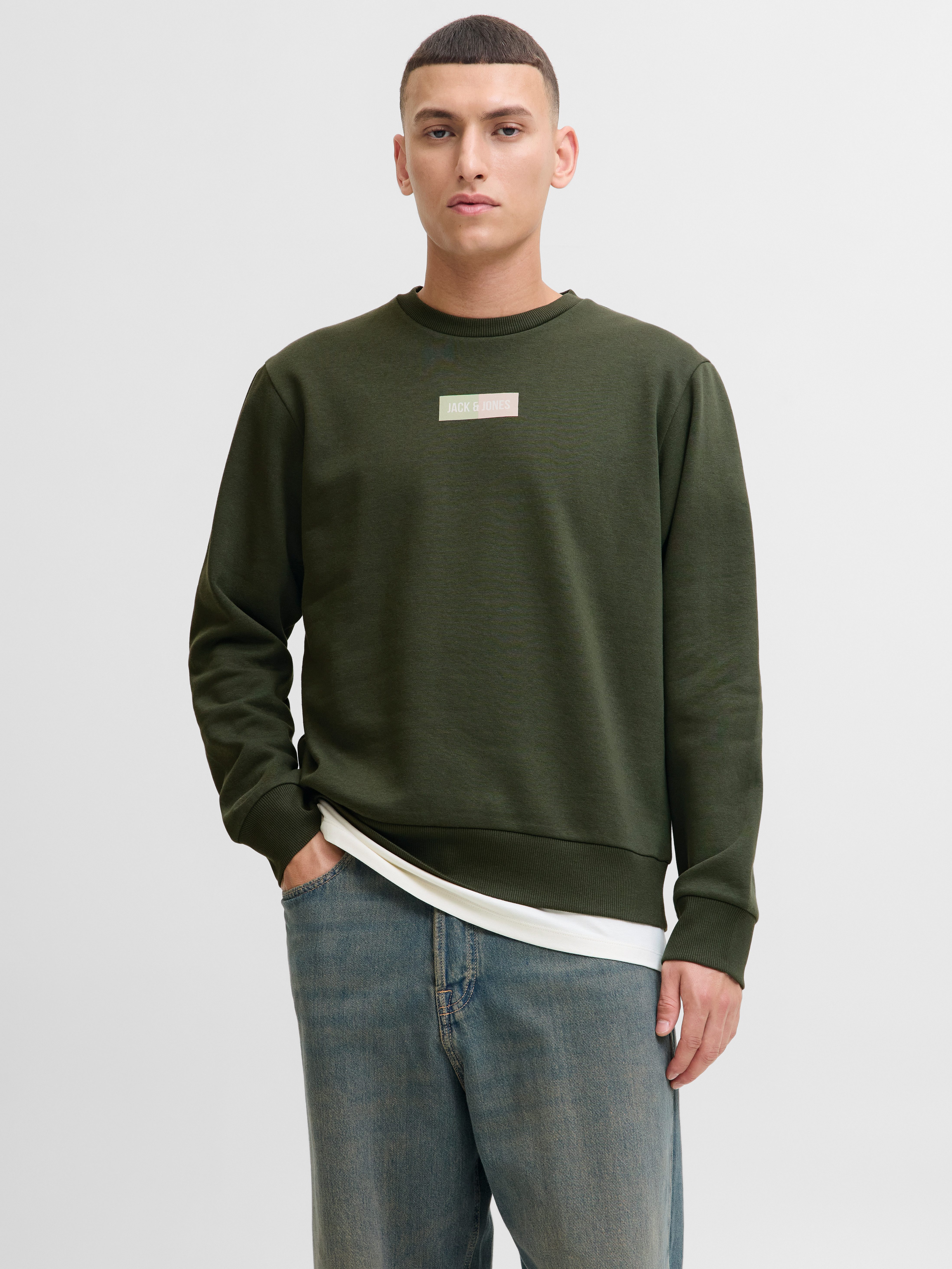 Jack & Jones Sweater JJPAN SWEAT CREW NECK günstig online kaufen