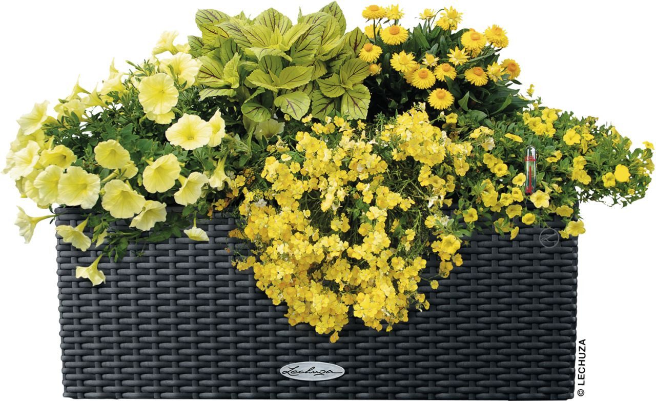 Lechuza® Blumenkasten Lechuza Balkonkasten BALCONERA Cottage 50 cm
