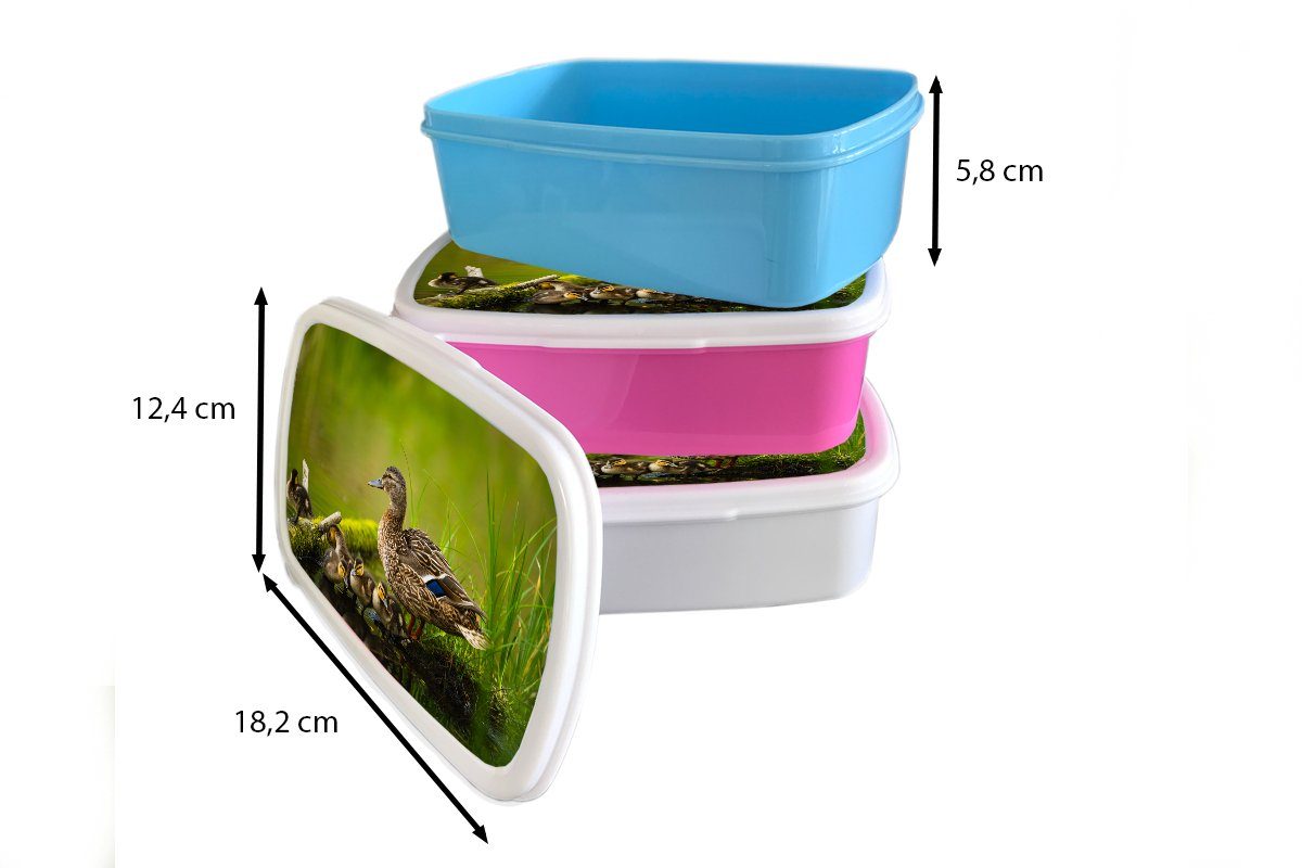 Zweig Wasser Jungs Lunchbox für Ente MuchoWow Kinder und und (2-tlg), weiß - Brotbox Moos, für - Erwachsene, Mädchen - Kunststoff, Vögel - Brotdose,