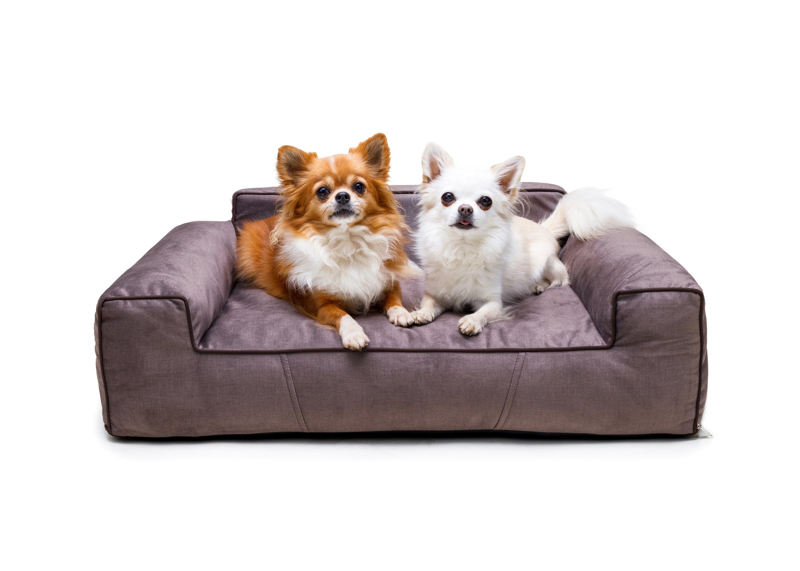 Bjird Tierbett Hundebett LUNA Fancy, Bezug günstig online kaufen
