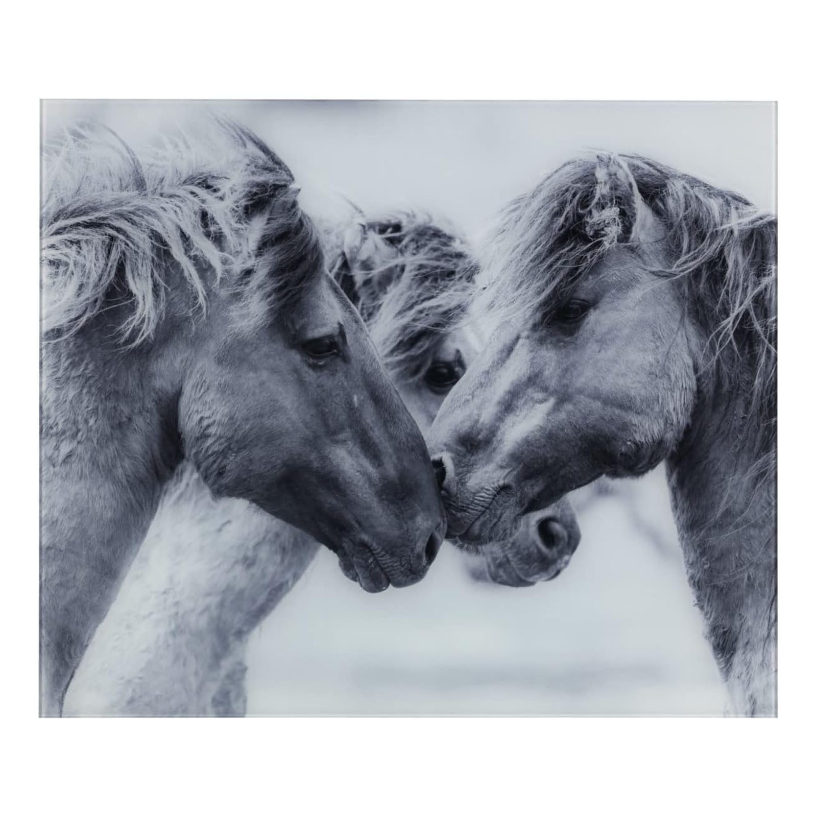 WENKO Spritzschutz Glasrückwand Horses Spritzschutz Herd Spüle Wandblende, Gehärtetes Glas mit Pferde-Motiv 60 x 50 cm Grau