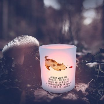Mr. & Mrs. Panda Windlicht Hund Marienkäfer - Transparent - Geschenk, Windlicht Glas, Kerzenglas (1 St), Liebevolles Design