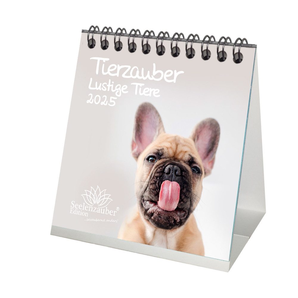 Seelenzauber Tischkalender Tierzauber lustige Tiere Kalender für 2025 Format 10cm x 10cm