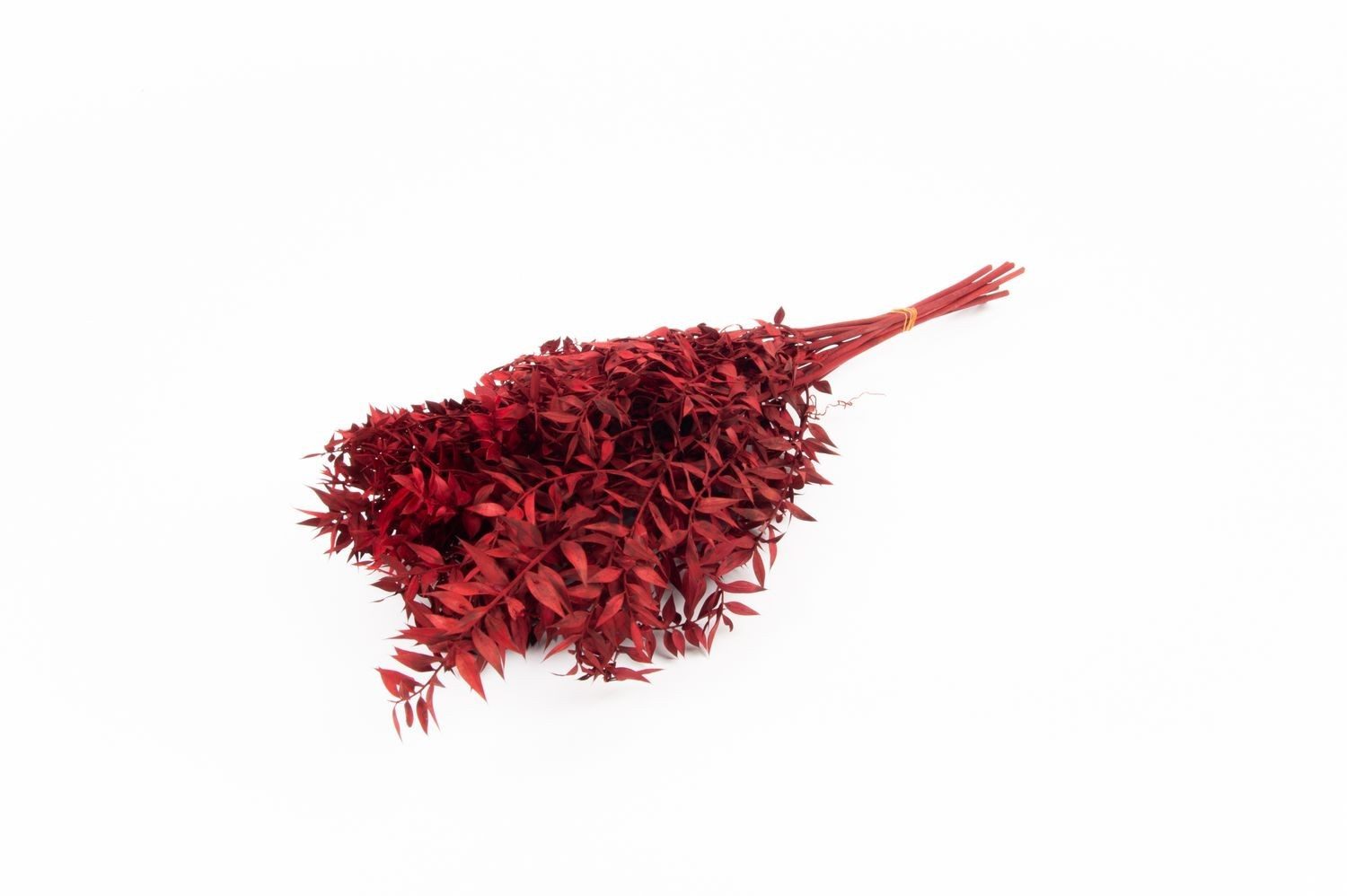Trockenblume Ruscus Trockenzweige AGNIATA, rot, 70-75cm, Ø17cm, INNA-Glas, Höhe 75.0 cm