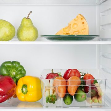 relaxdays Frischhaltedose Transparenter Kühlschrank Organizer, Kunststoff