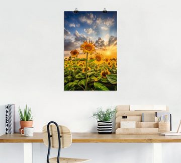 Artland Wandbild Sonnenblumen im Sonnenuntergang, Blumenbilder (1 St), als Leinwandbild, Poster in verschied. Größen