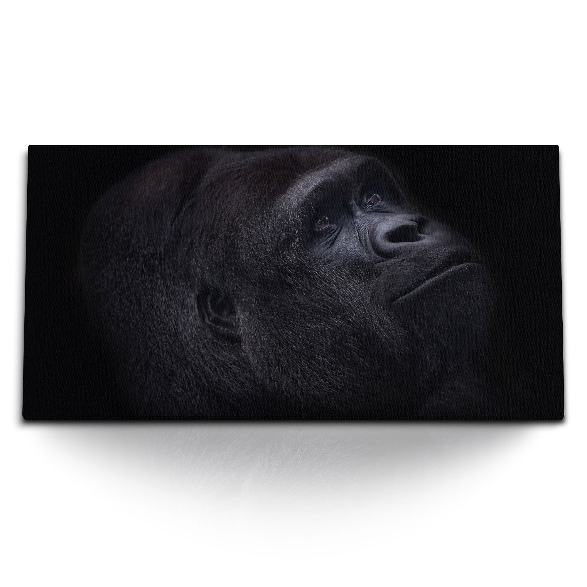 Sinus Art Leinwandbild Kunstdruck Bilder 120x60cm Gorilla Porträt Schwarz Silberrücken Tierfo, (1 St)