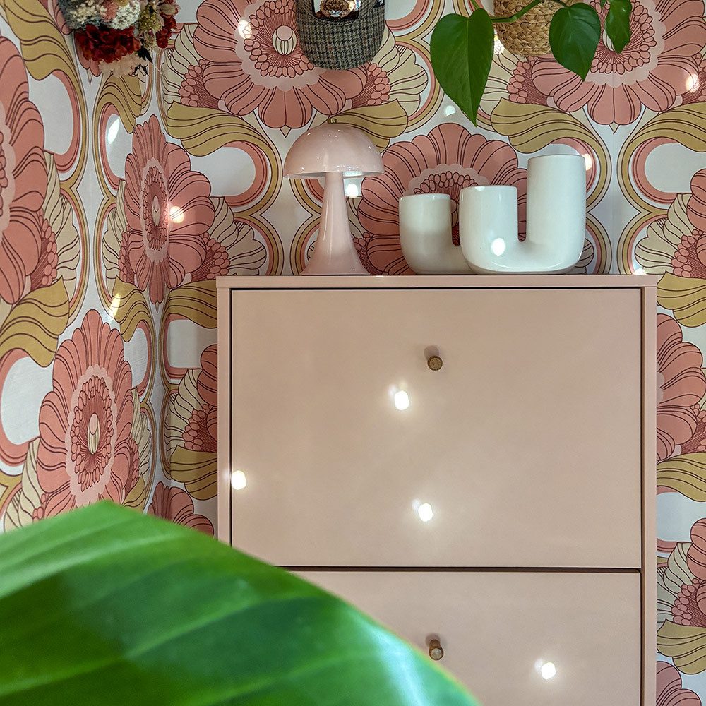 Lomadox Schuhschrank BELOFRT-80 mit 2 Klappen, in apricot, 60cm Breit