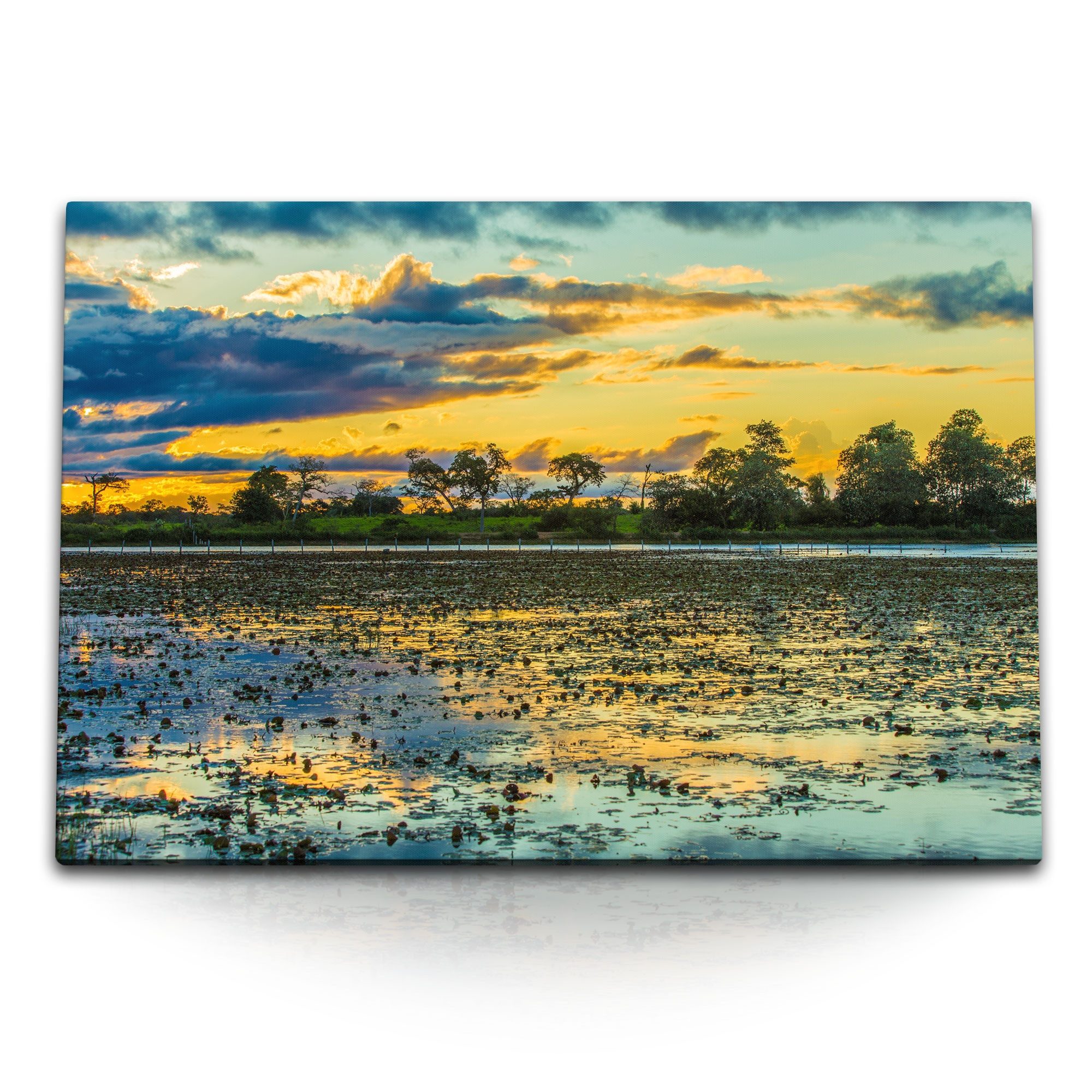 Leinwandbild 120x80cm Wandbild auf Leinwand Pantanal Nationalpark Brasilien Abendro