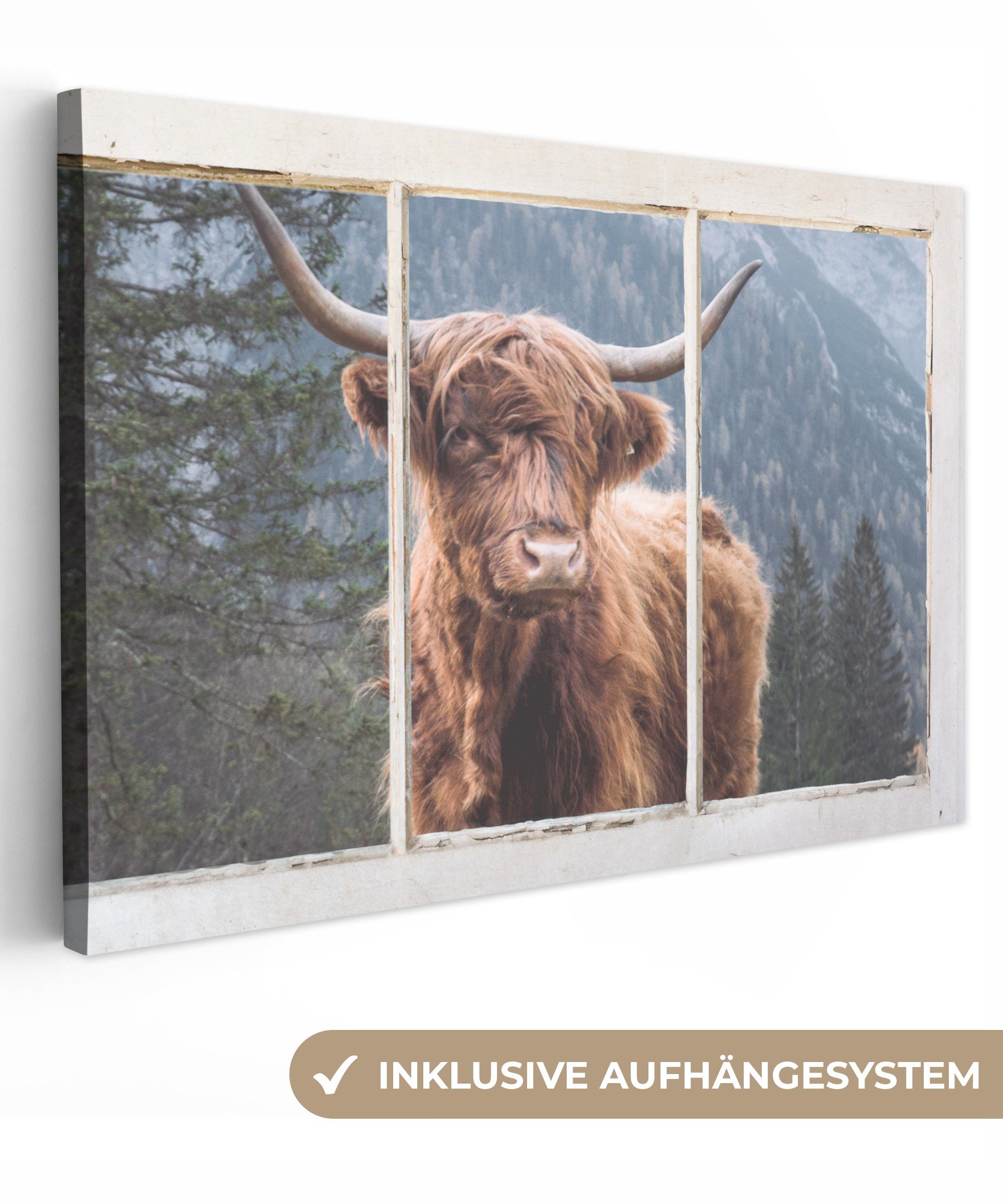 30x20 Leinwandbilder, - Highlander Wanddeko, cm Wandbild Vista, (1 Ansicht St), Schottischer - Aufhängefertig, Leinwandbild OneMillionCanvasses®