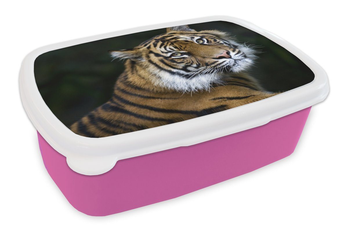 MuchoWow Lunchbox Tiger - Porträt - Schwarz, Kunststoff, (2-tlg), Brotbox für Erwachsene, Brotdose Kinder, Snackbox, Mädchen, Kunststoff rosa