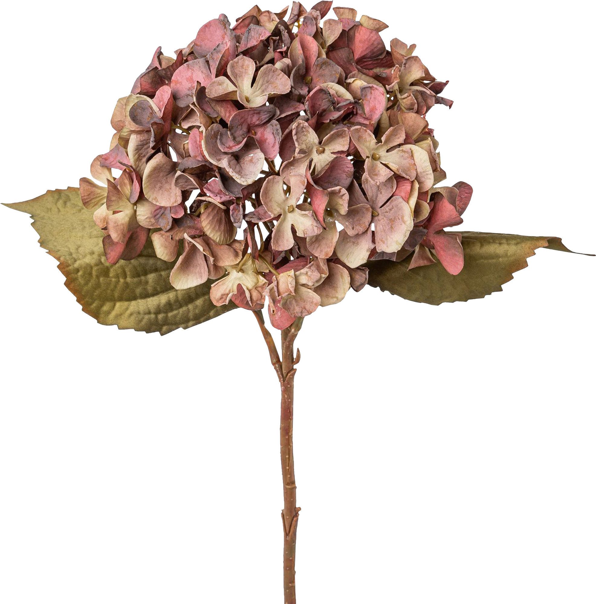 Kunstblume Kunstblume HORTENSIE 46cm. In Trockenblumenoptik. Aubergine Lila MAUVE, Gasper, Höhe 46.00 cm