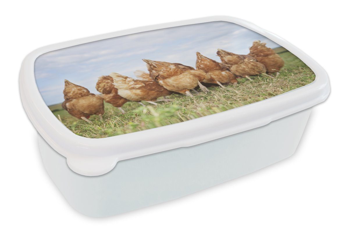 MuchoWow Lunchbox Hühner auf dem Jungs Kunststoff, Brotbox für Brotdose, Feld, weiß (2-tlg), Kinder und Erwachsene, für und Mädchen