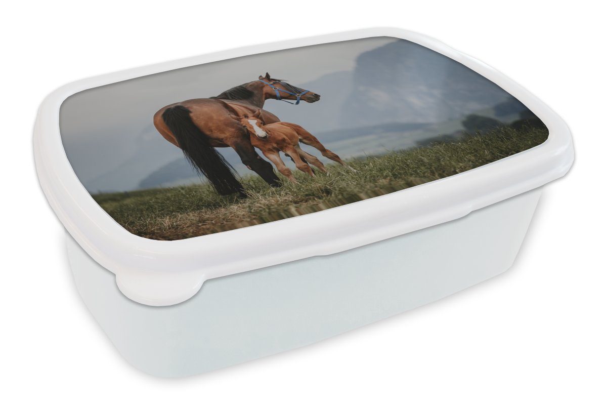 MuchoWow Lunchbox Pferd - Fohlen weiß Berg, und für Kinder Brotdose, Erwachsene, für Brotbox Jungs - Kunststoff, und Mädchen (2-tlg)