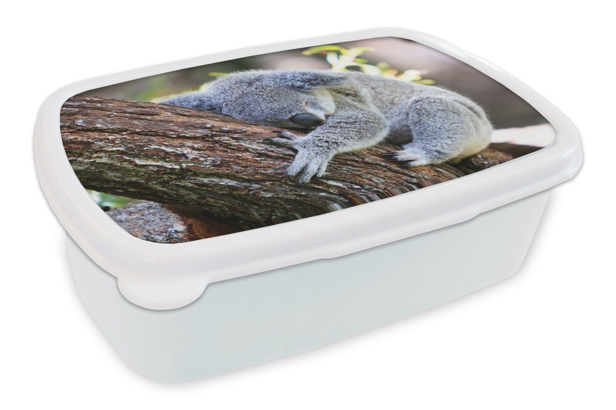 MuchoWow Lunchbox Koala - Kofferraum - Kuscheltier - Jungen - Mädchen, Kunststoff, (2-tlg), Brotbox für Kinder und Erwachsene, Brotdose, für Jungs und Mädchen weiß