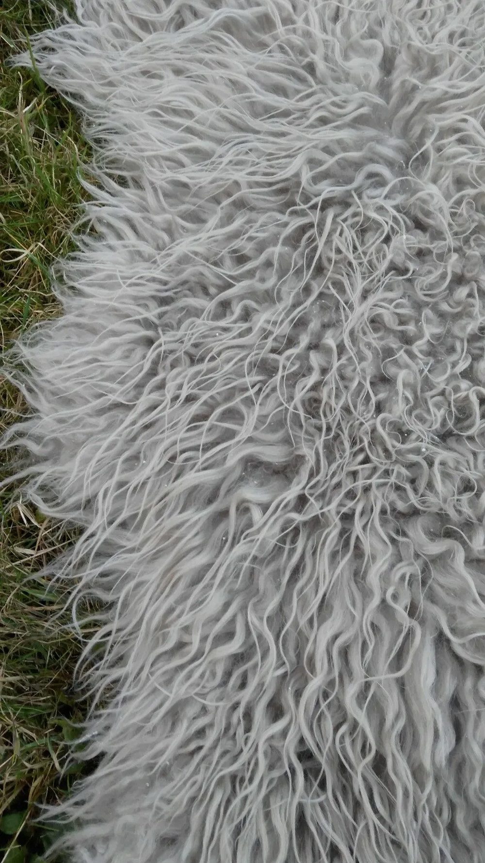 Provellus Fellteppich Island Schaffell Lockig Lammfell Weich Naturfarbig Un günstig online kaufen