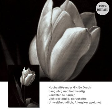 TPFLiving Kunstdruck (OHNE RAHMEN) Poster - Leinwand - Wandbild, Weiße Blüten / Blumen auf schwarzem Hintergrund - (13 verschiedene Größen zur Auswahl - Auch im günstigen 3-er Set), Farben: Weiß, Schwarz - Größe: 60x80cm