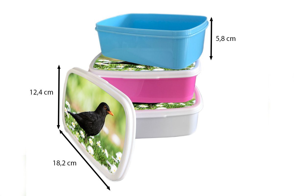 Erwachsene, - Snackbox, Brotdose Kinder, für Kunststoff Brotbox Blumen, (2-tlg), Mädchen, Vogel MuchoWow - Lunchbox Amsel Kunststoff, rosa