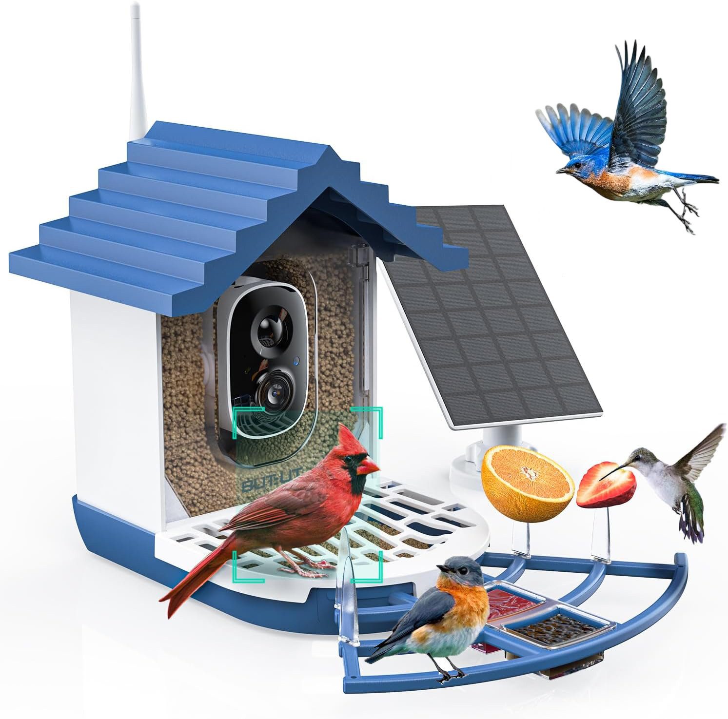 ieGeek Überwachungskamera Vogelhaus WLAN-Vogelhaus mit Kamera, KI-Vogelerkennung & Solarpanel (Garten, Balkon, Hof, Park, Naturschutzgebiet, Echtzeitbeobachtung des Nestbaus und der Brut von Vögeln, Infrarot-Nachtsicht, PIR-Bewegungserkennung, iOS/Android-kompatibel, 4MP-Kamera, ideal für Vogelbegeisterte, 10.000+-Vogelarten-erkenntnis, KI-Vogelerkennung, 5000-mAh-Akku, 2L-Futtercontainer, Eichhörnchenfestes Design, 170°-Diagonalsichtwinkel, Solarpanel)