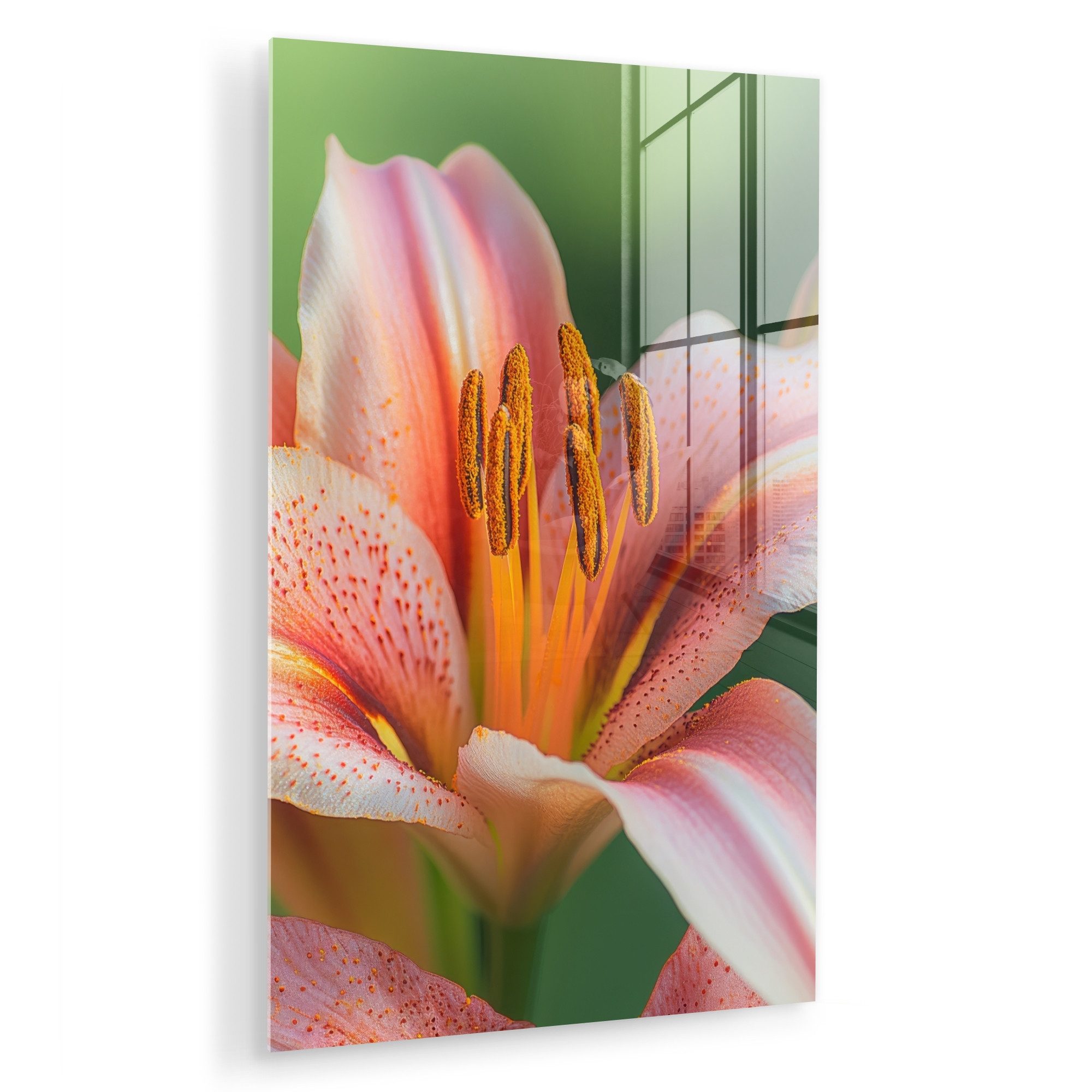 MuchoWow Acrylglasbild Lilie - Nahaufnahme - Hellrosa, Inkl. Aufhängung, Dekorative Bild für Küche & Wohnzimmer auf Glas, 20x30 cm