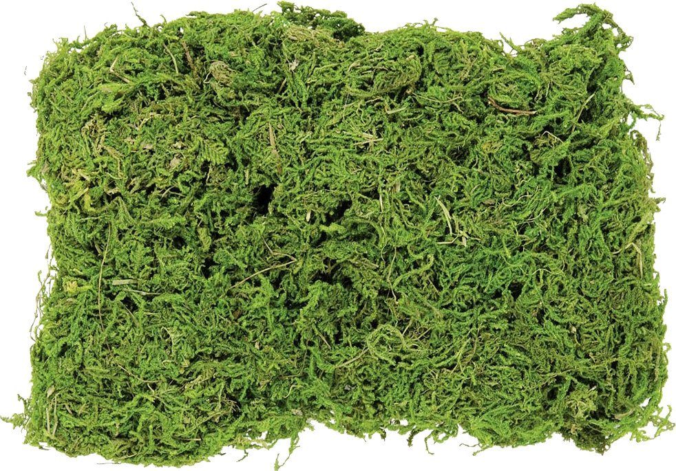 Glorex Dekofigur Glorex Moos Beutel 50 Gramm günstig online kaufen