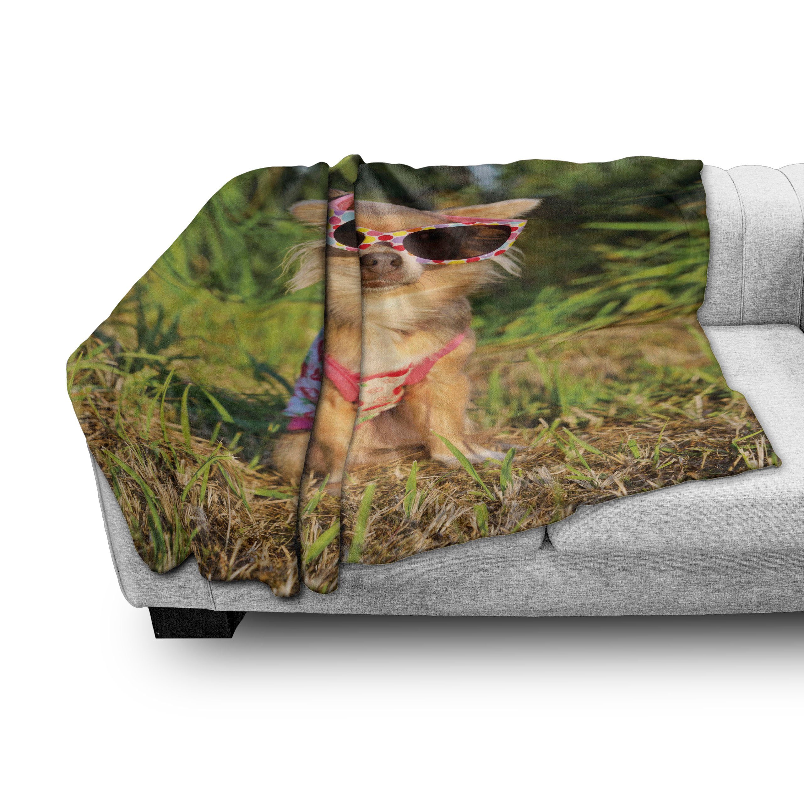 Hund Außenbereich, Wohndecke Chihuahua und Gemütlicher den Top Abakuhaus, mit Riemchen Innen- Plüsch für