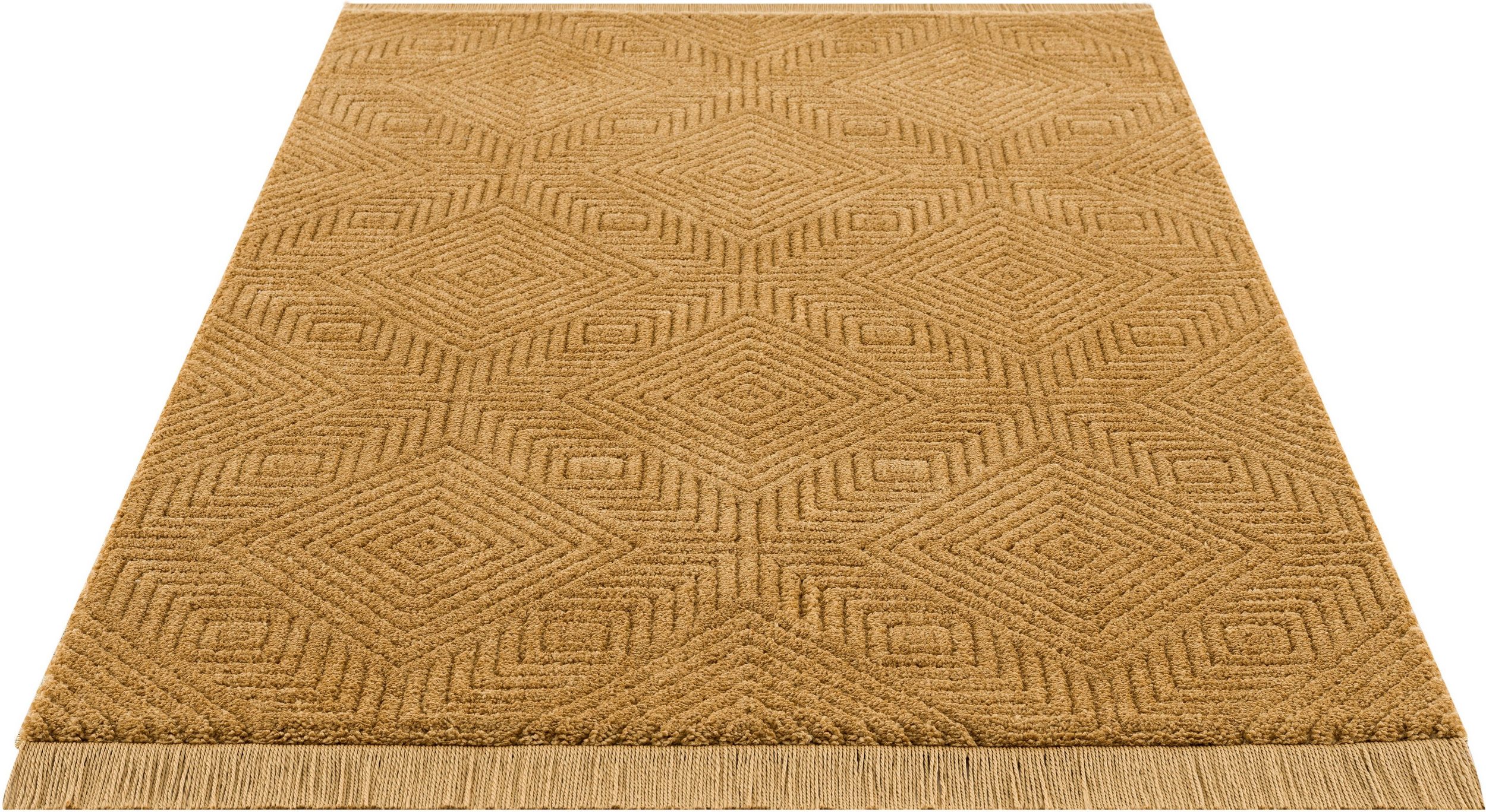 Teppich »Duchesse«, Leonique, rechteckig, Höhe: 22 mm, grafisches Design, Boho, Teppich im 3D Effekt, einfarbig, mit Fransen