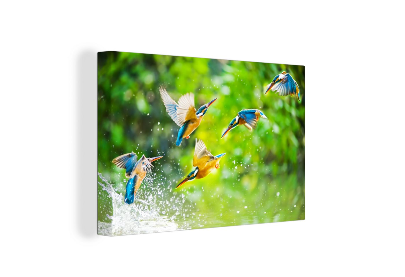OneMillionCanvasses® Leinwandbild Vögel - Eisvogel - Tiere - Wasser, Fotodruck (1 St), Leinwand Bilder Klein, Wand Dekoration Aesthetic 30x20 cm