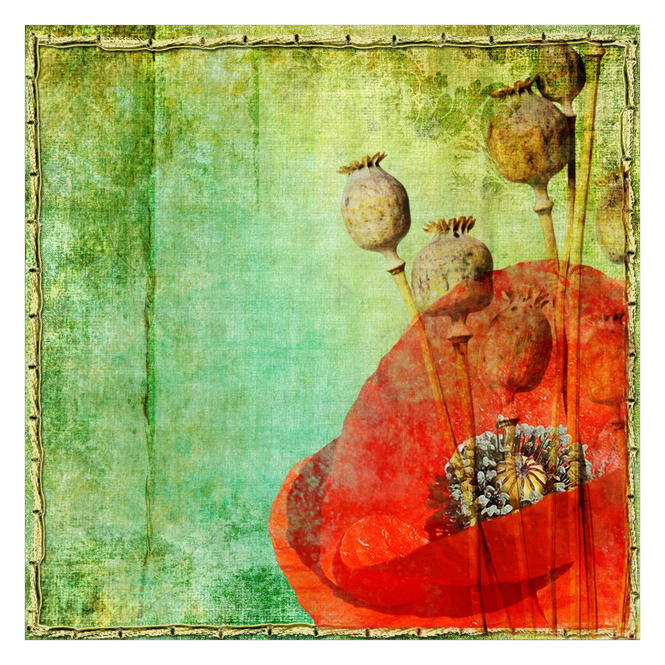 Bilderdepot24 Fototapete Mohnblumen Vintage gerahmt Floral Blumen Natur Wanddeko Rustikal, Glatt, Matt, (Vliestapete inkl. Kleister oder selbstklebend), Wohnzimmer Schlafzimmer Küche Flur Motivtapete Vliestapete Wandtapete