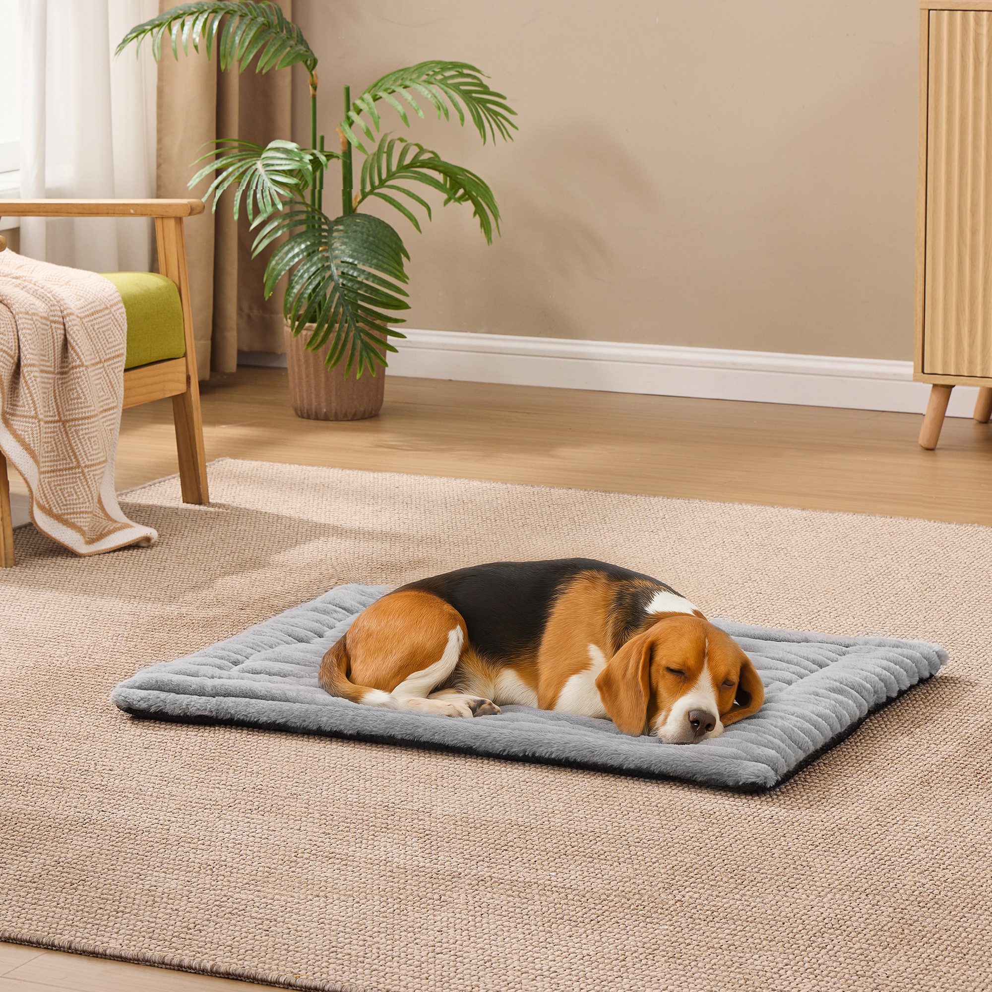 FEANDREA Tierdecke Hundedecke, Haustierdecke für Hunde, Katzen, Hundesofa, taubengrau, L, 90 x 65 cm, maschinenwaschbar, Hundesofa-Schutzdecke