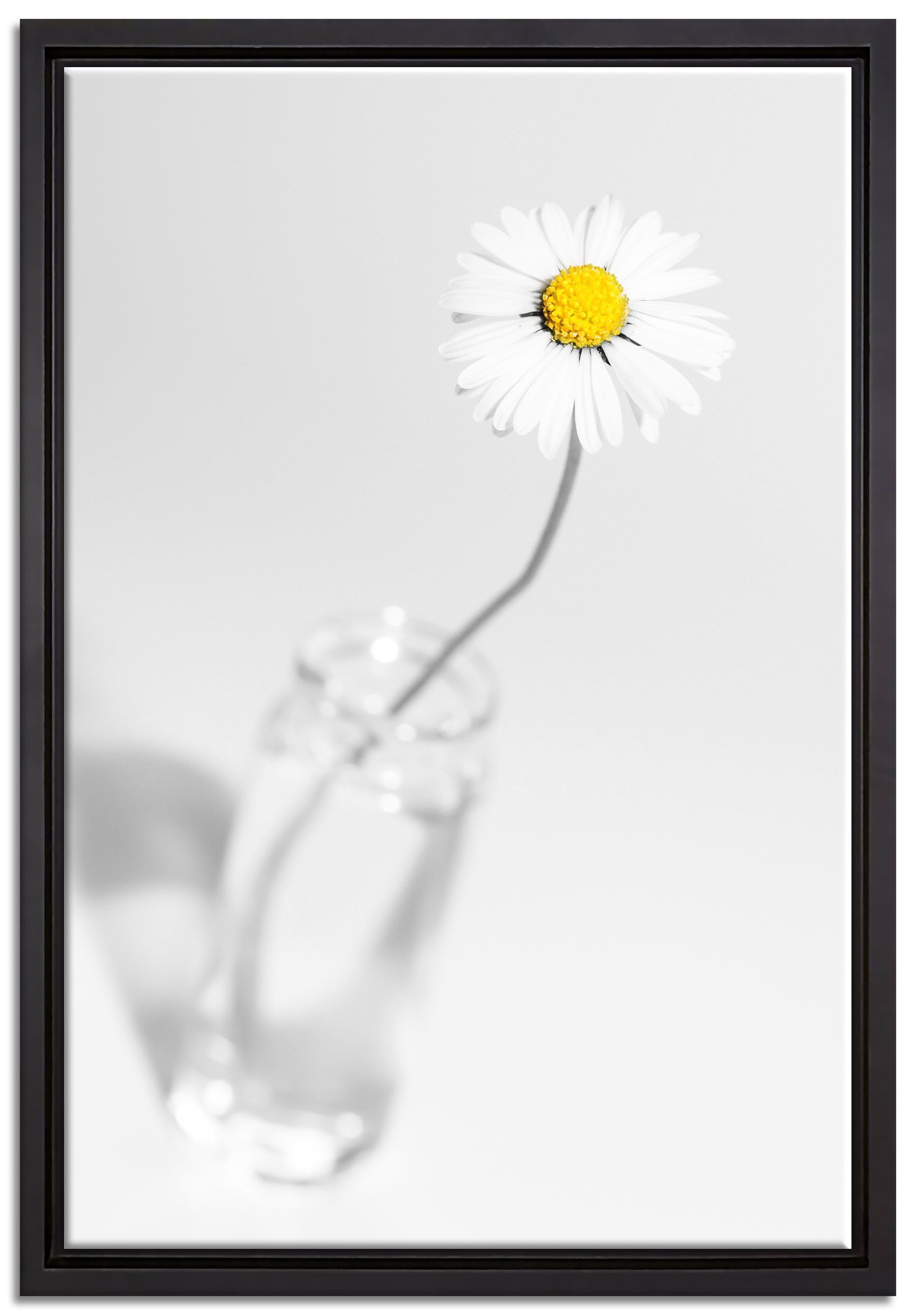 Pixxprint Leinwandbild Gänseblümchen im Glas, Wanddekoration (1 St), Leinwandbild fertig bespannt, in einem Schattenfugen-Bilderrahmen gefasst, inkl. Zackenaufhänger